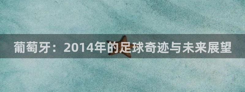 2026年男足世界杯:葡萄牙:2014年的足球奇迹与未来展望