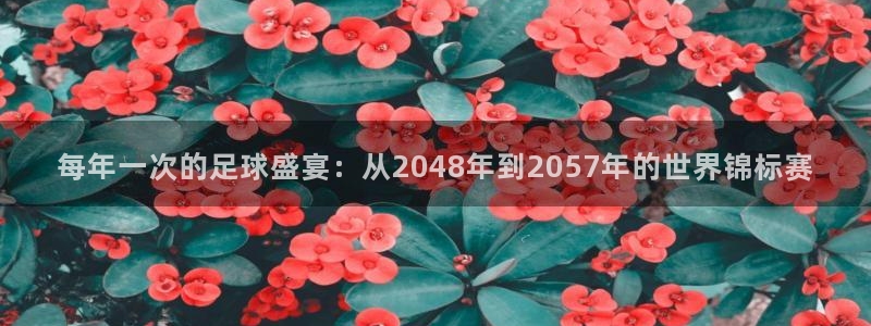 2006世界杯:每年一次的足球盛宴:从2048年到2057年的世界锦标赛