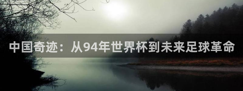 世界杯足球赛:中国奇迹:从94年世界杯到未来足球革命