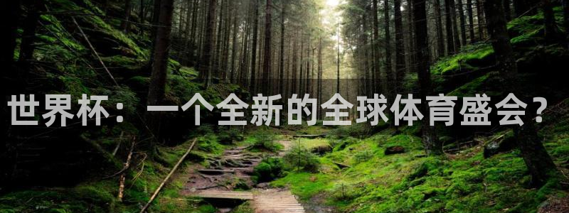 今年的世界杯:世界杯:一个全新的全球体育盛会?