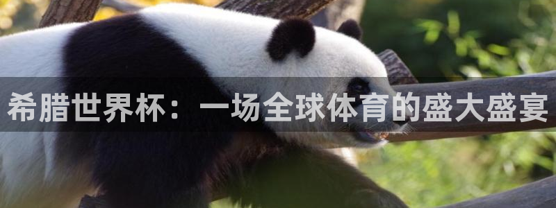 2026年世界杯赛程时间表格:希腊世界杯:一场全球体育的盛大盛宴