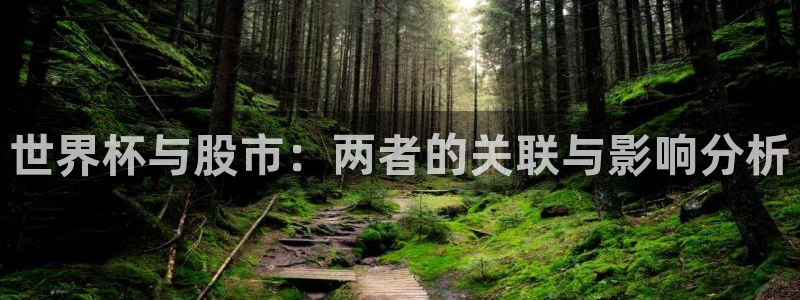 世界杯预选赛亚洲区赛程:世界杯与股市:两者的关联与影响分析